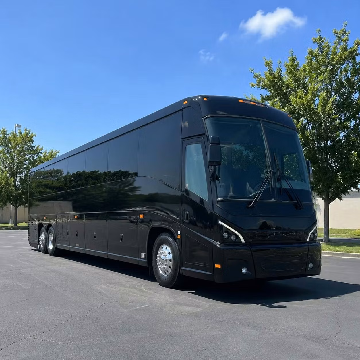opelika out of town wedding winery and festival bus rentals from opelika