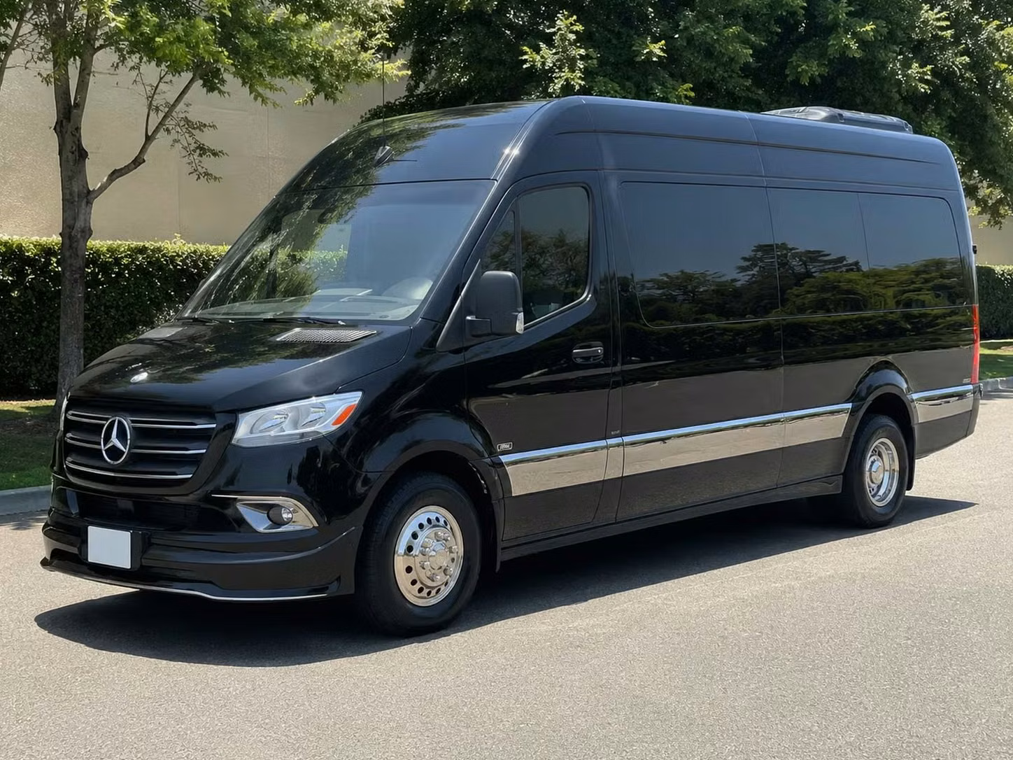 opelika sprinter van rental with driver
